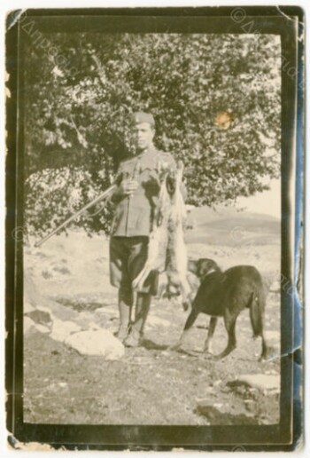 Κυνηγώντας λαγούς στο Βέρμιο Ημαθίας