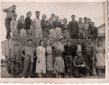 Workers in Kiriakidis field in 1952