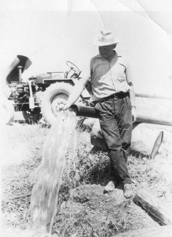 Theologis Mourtzios watering his field in Agia (Saint) Marina village