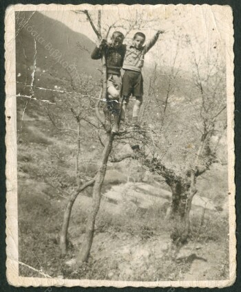 Πάσχα στη Φυτειά