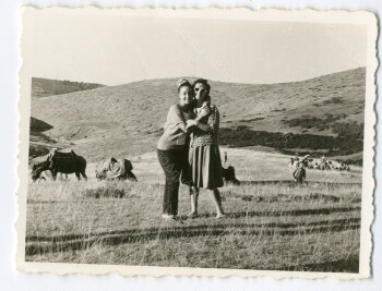 In the country of Seli