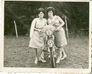 Pines region in Tripotamos village