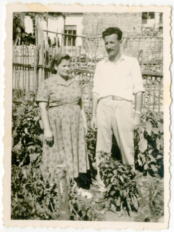 Στον κήπο του σπιτιού