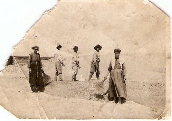Workers from Fitia village in the swamp of Giannitsa