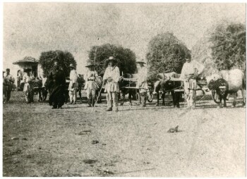 Άμαξες και άλογα στο Ρουμλούκι