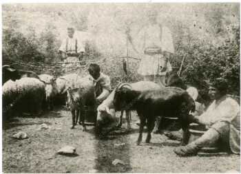 Άνθρωποι με τα ζώα τους στο Ρουμλούκι