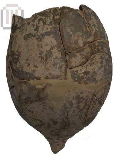 Amphora with pointed foot from Gitana