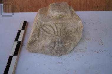 Τμήμα επιθήματος