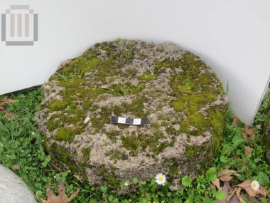 Σφόνδυλος κίονα