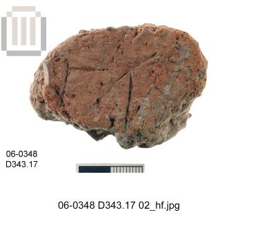 Τμήμα πώματος