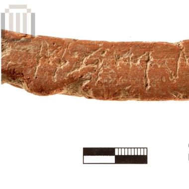 Χείλος λεκανίδας