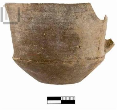 Carinated cup