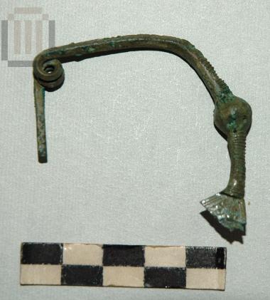 Bronze fibula
