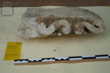 Τμήμα αρχιτεκτονικού μέλους