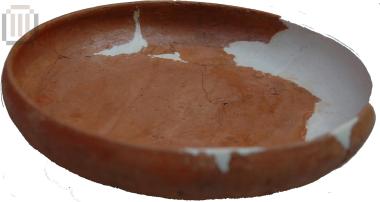 Tray