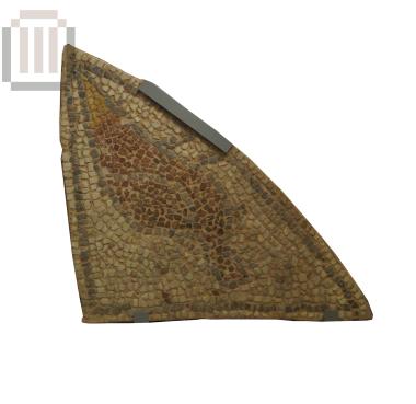 Fragment of a floor mosaic