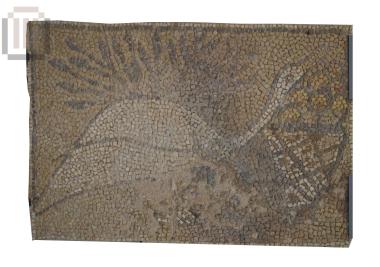 Fragment of a floor mosaic