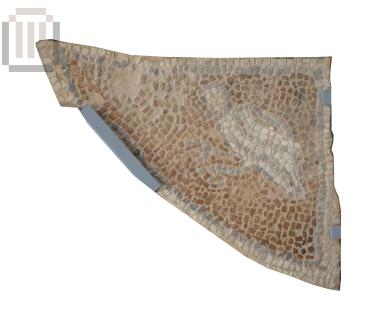 Fragment of a floor mosaic