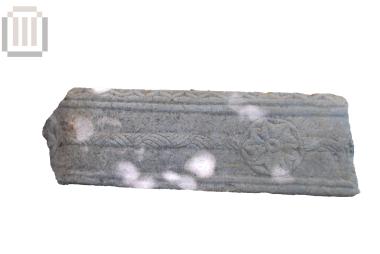 Απότμημα θωρακίου