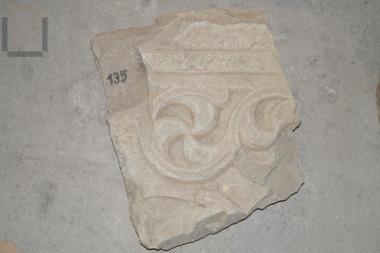 Τμήμα θωρακίου