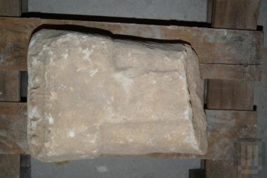 Τμήμα αμφικιονίσκου