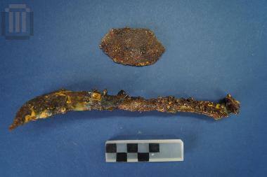 Σιδερένια στλεγγίδα