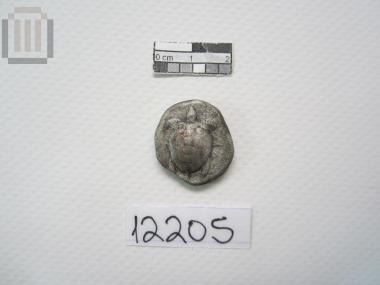 Αργυρός Στατήρας Αίγινας από Θησαυρό 70 Αργυρών Αιγινήτικων Νομισμάτων