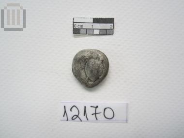 Αργυρός Στατήρας Αίγινας από Θησαυρό 70 Αργυρών Αιγινήτικων Νομισμάτων