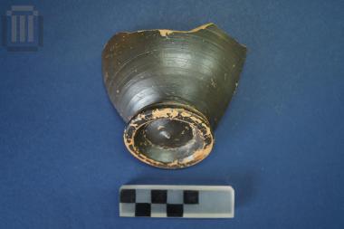 Τμήμα μελαμβαφούς κανθάρου