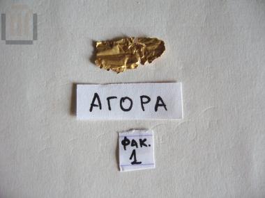 Gold olive or laurel leaf