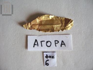 Gold olive or laurel leaf