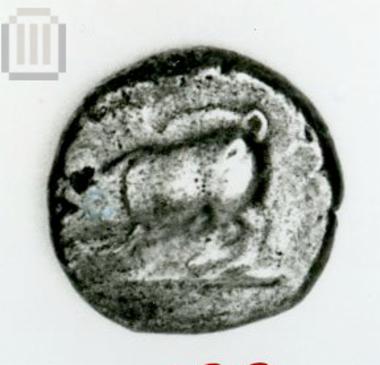 Stater Lycia