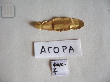 Gold olive or laurel leaf