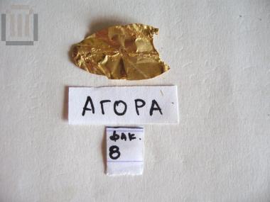 Gold myrtle or laurel leaf