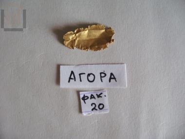 Gold olive or laurel leaf