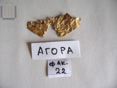 Gold olive or laurel leaf