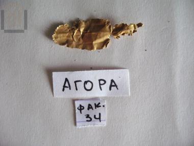 Gold olive or laurel leaf