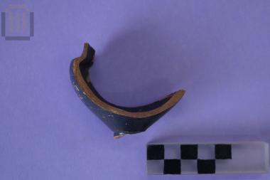 Τμήμα μελαμβαφούς κανθάρου