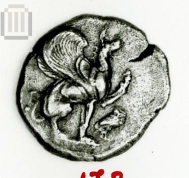 Stater Teos