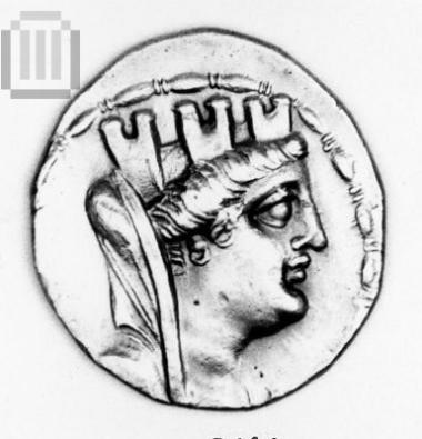 Τετράδραχμο Σελευκέων