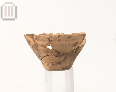 Conical handleless cup