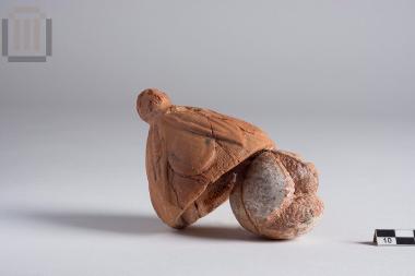 Ομοιώμα άνθους και καρπού ροδιού