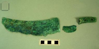 Μαχαιροπέλεκυς