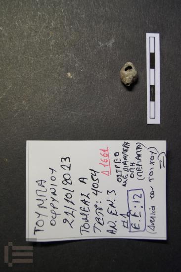 Όστρεο-περίαπτο