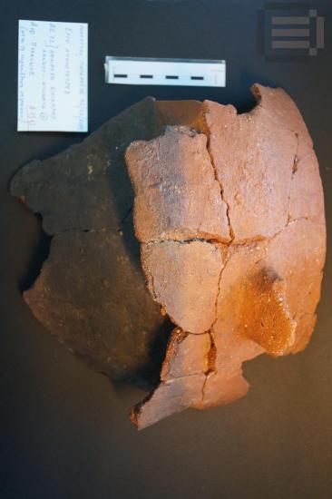 Τμήμα πυραύνου