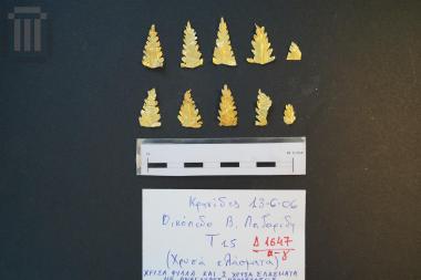 Gold leaves of a wreath