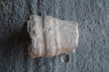 Τμήμα κιονίσκου