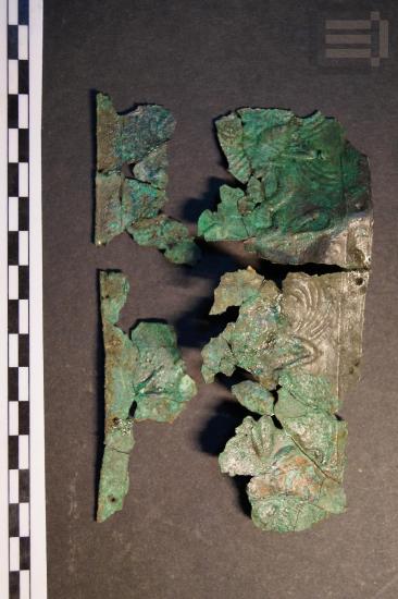 Part of a shield band