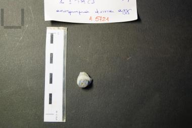 Fragment of a phoenician closed shaped vase