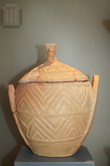 Large stamnoid pyxis with lid and rope decoration